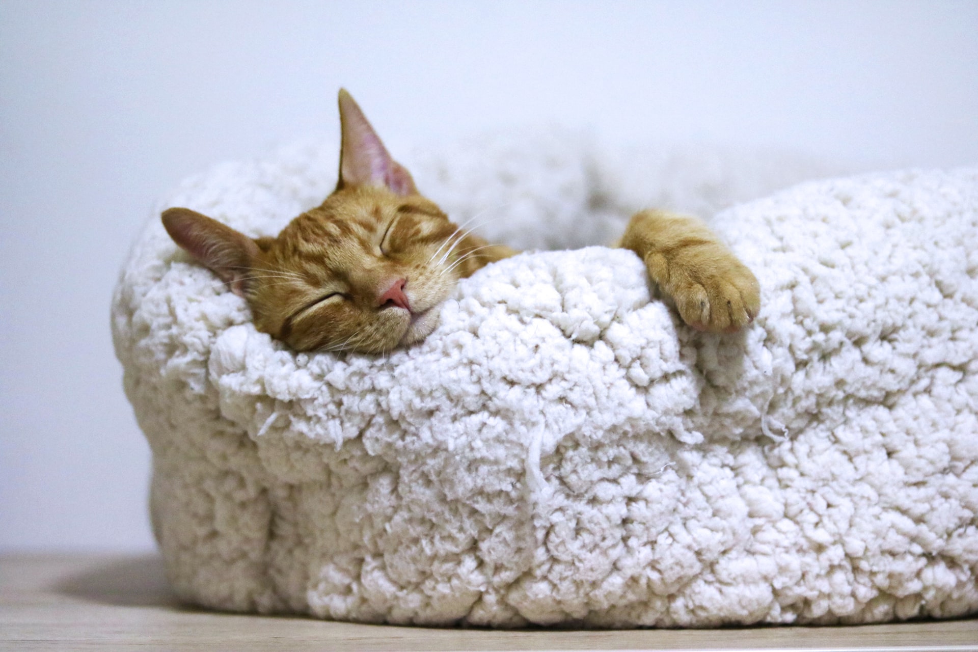 What You Need to Know About REST APIs